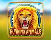 Running Animals